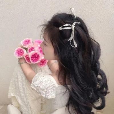 普鲁士蓝的肖像